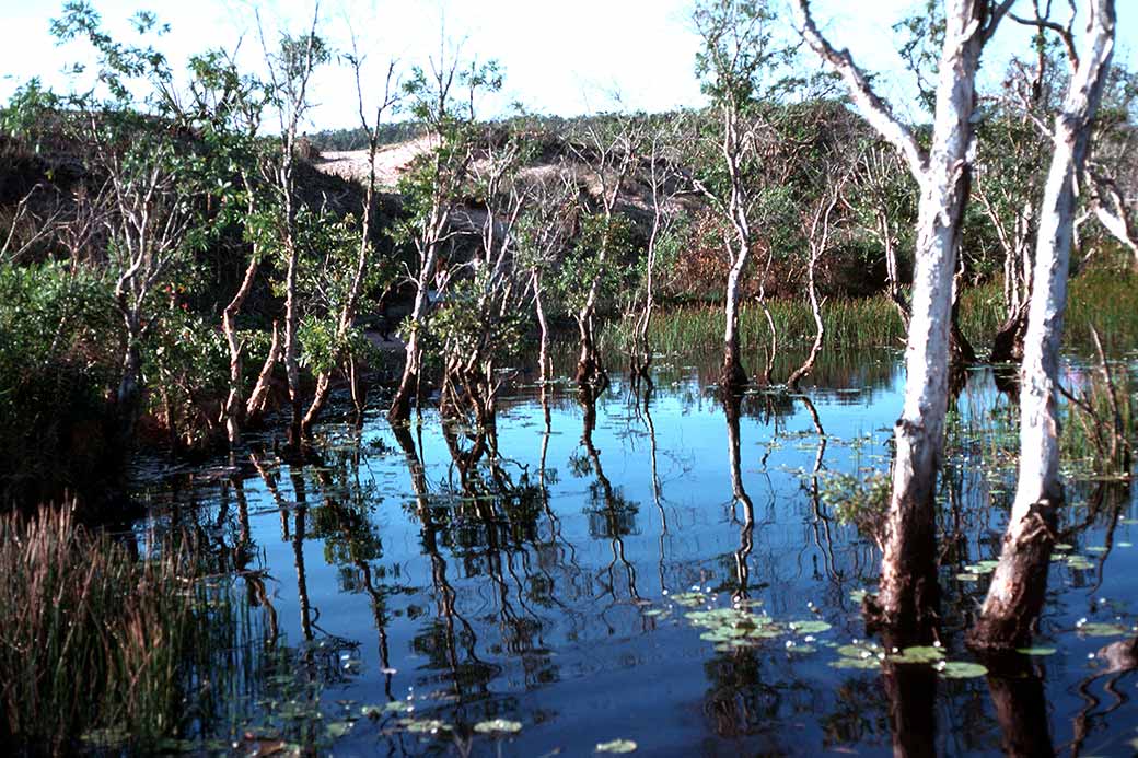 Billabong, Elcho Island