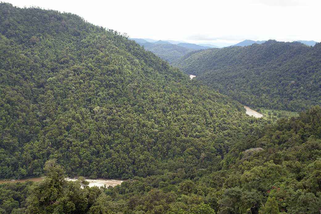 Johnstone River