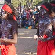 White Cockatoo group