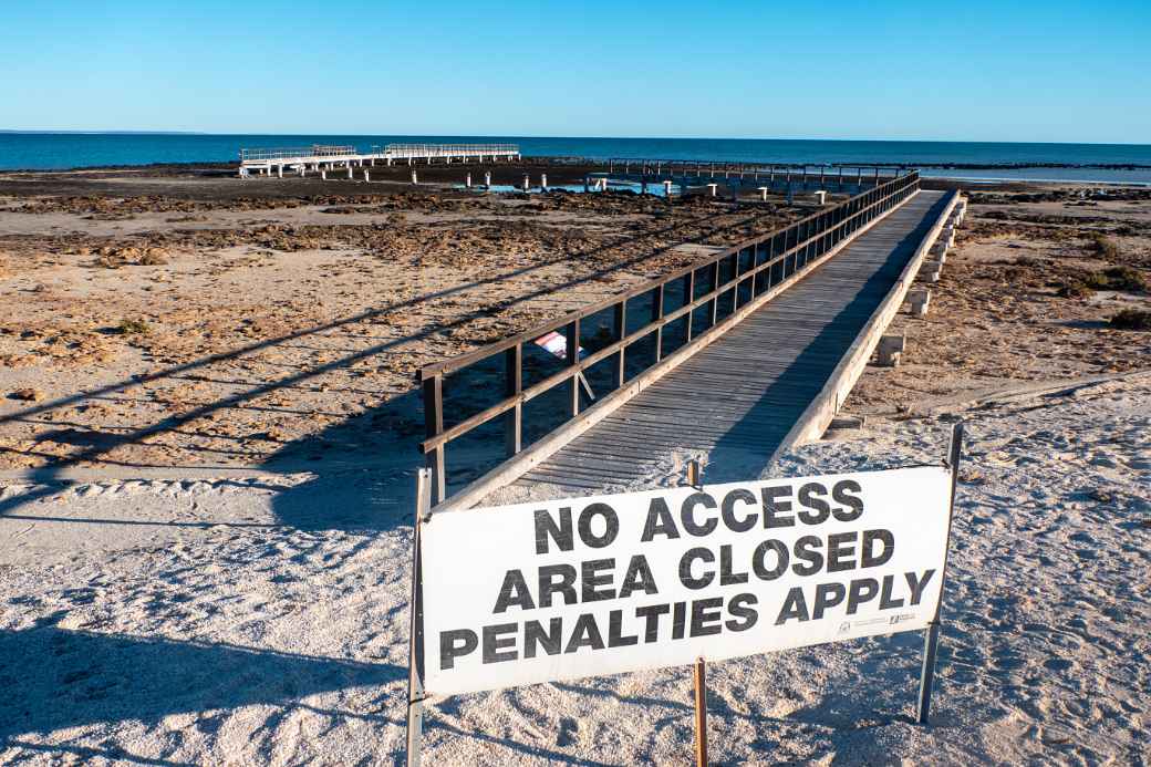 Boardwalk Hamelin Pool