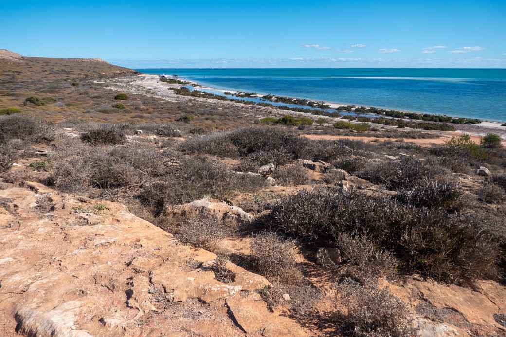 View, Whalebone Point