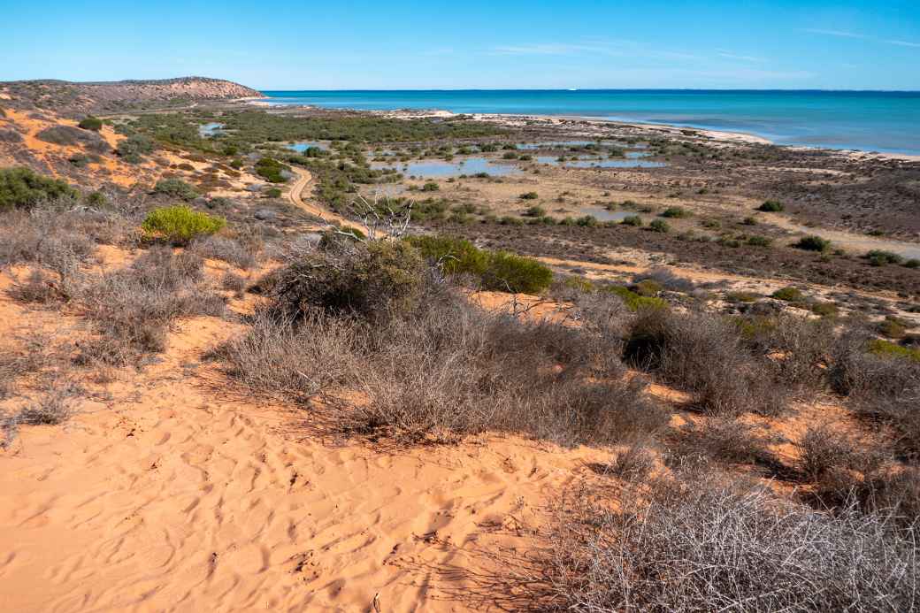 Coastal view, near Denham