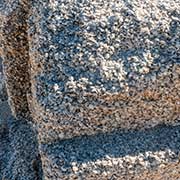 Compressed Hamelin cockles