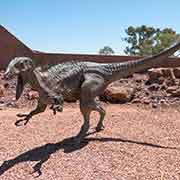 Model of Australovenator dinosaur