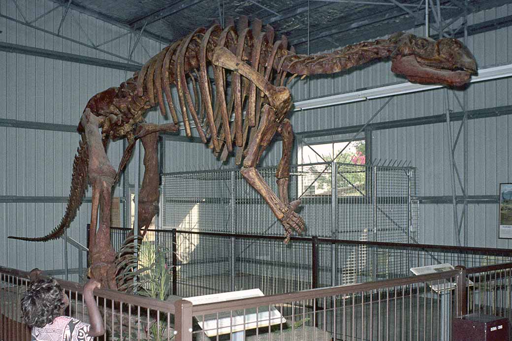 Muttaburrasaurus