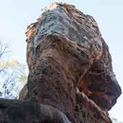 Cruise in Cobbold Gorge