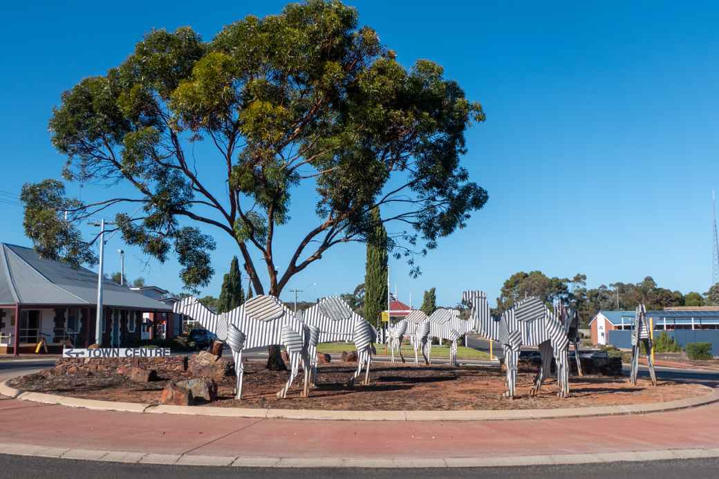 Camel roundabout, Norseman