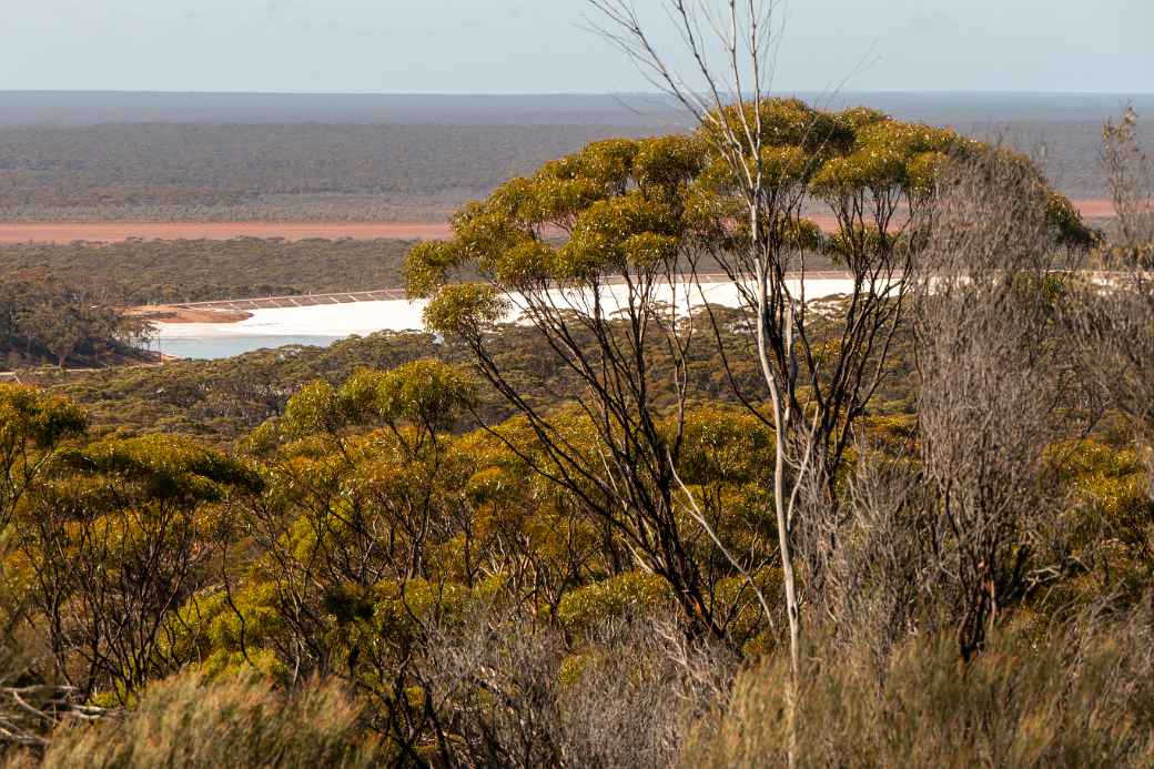 Salt lake, Beacon Lookout