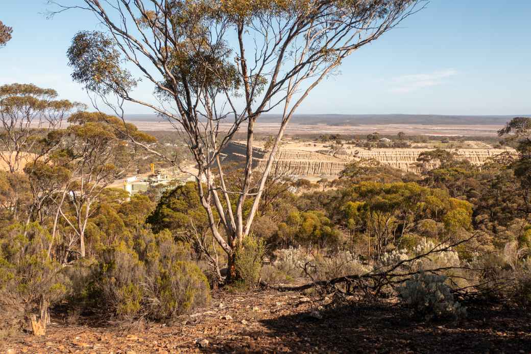 Tailing dams, Norseman Gold Project