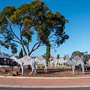 Camel roundabout, Norseman