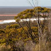 Salt lake, Beacon Lookout