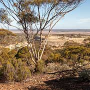 Tailing dams, Norseman Gold Project