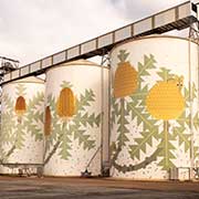 Painted grain silos