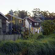 Wooden houses, Pemberton