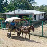 Horse and cart, Carretera Central