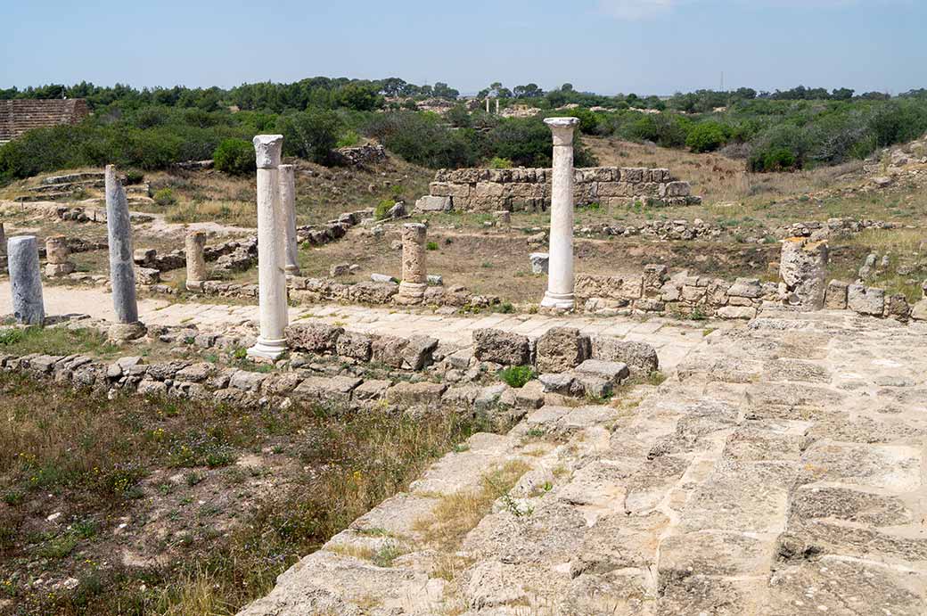 Path and view, Salamis