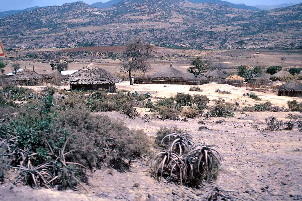 Village near Awash