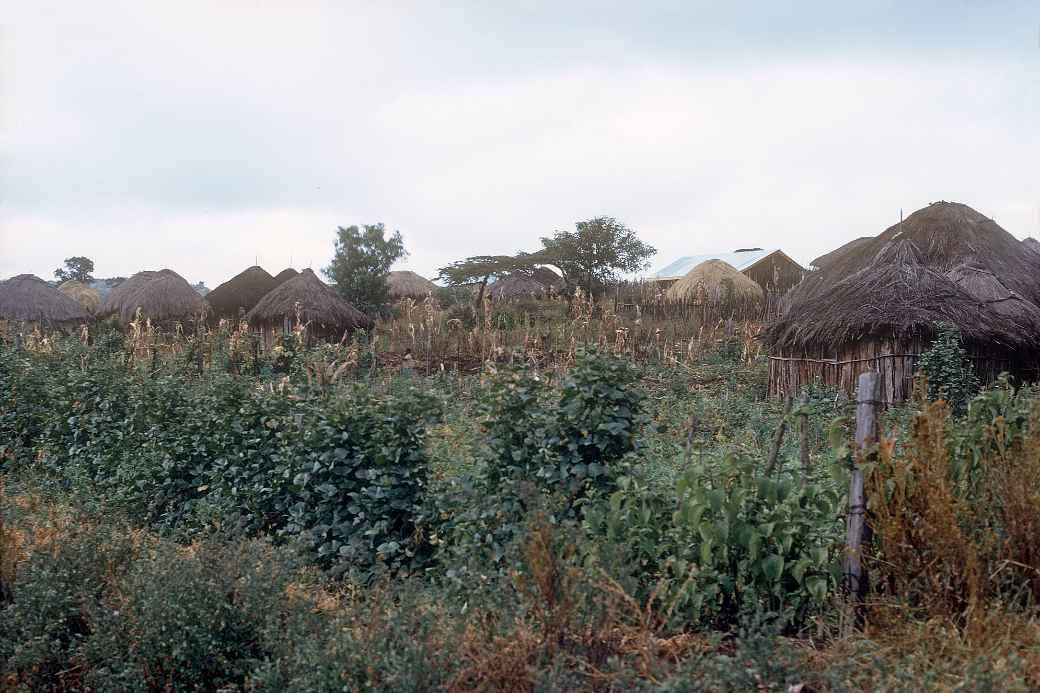 Huts north of Nakuru