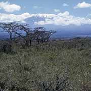 View to Oloitokitok, and Kilimanjaro