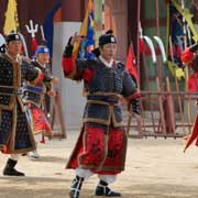 Traditional martial arts