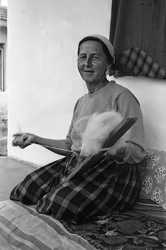 Zyrafa Spahiu Qarkaxhija