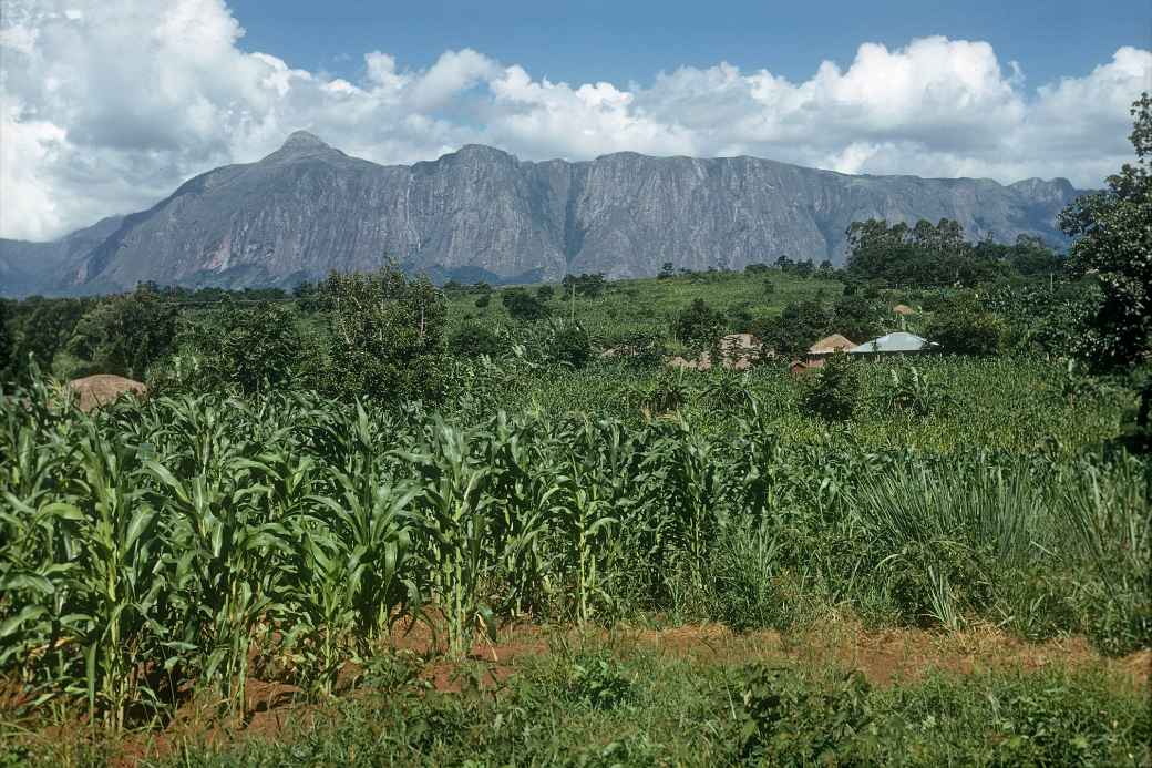 View to Mount Mulanje