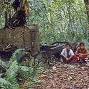 Derelict Japanese truck
