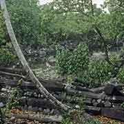 Idehd, seen from the oven