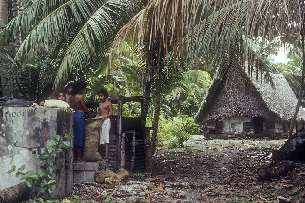 Putting copra in bags, Woleai