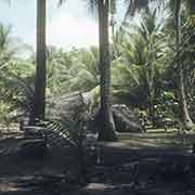 Traditional houses, Piig