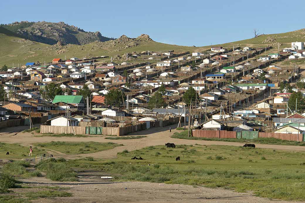 Houses and gers, Tsetserleg