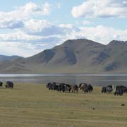 Terkhiin Tsagaan Nuur