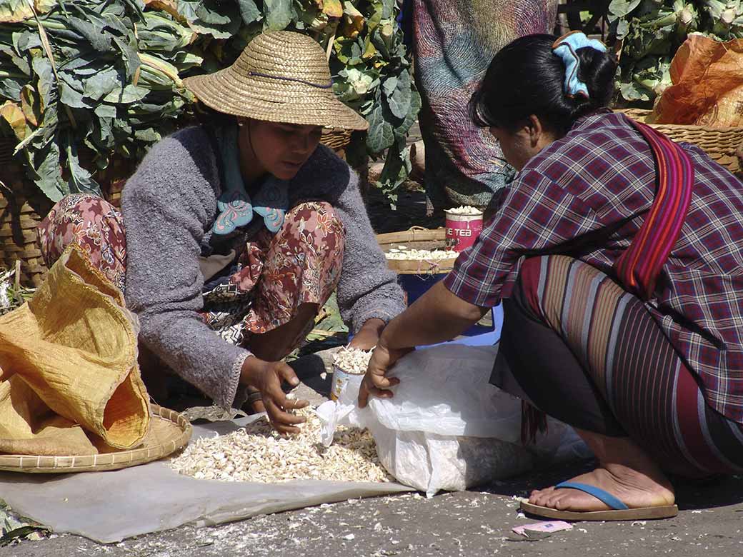 Selling bean sprouts