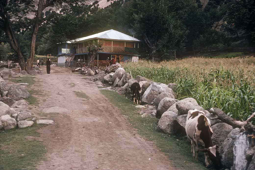 Benazir Hotel, Bumburet