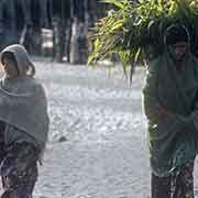 Women carrying basket