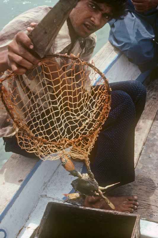 Boy with crab