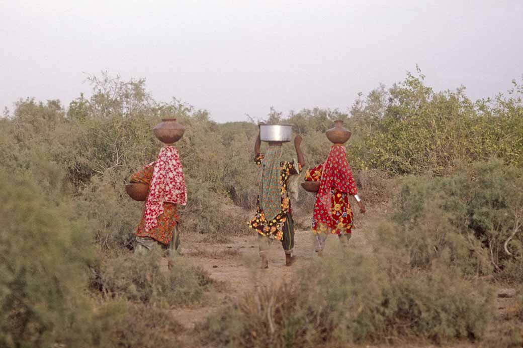 Women fetching water