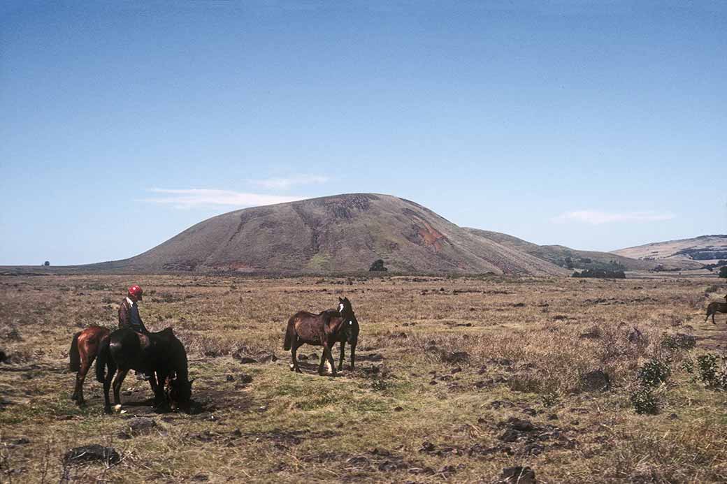 Landscape with horses