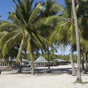 New fales in Falealupo