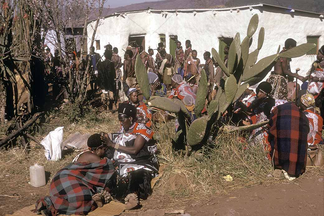 Grooming in Mangwaneni
