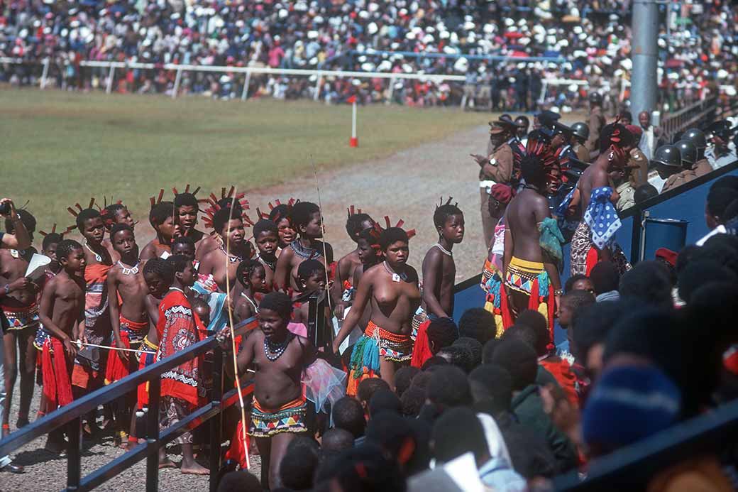 Arrival of princesses