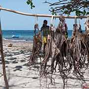 Dried squid for sale