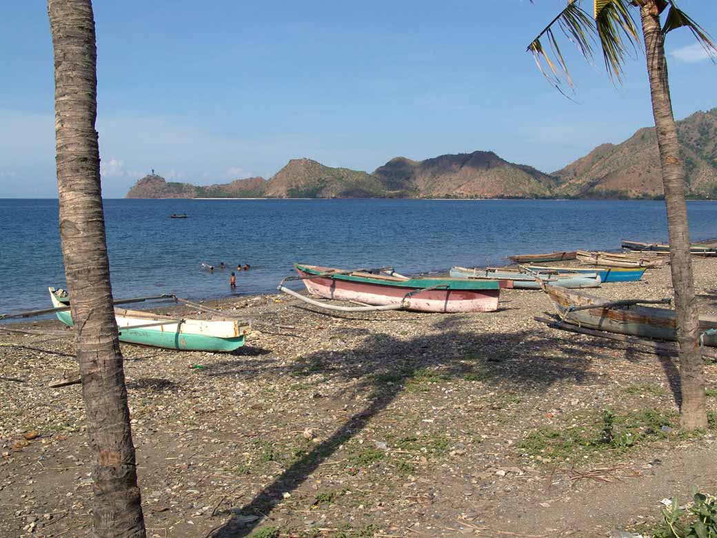 Beast east of Dili
