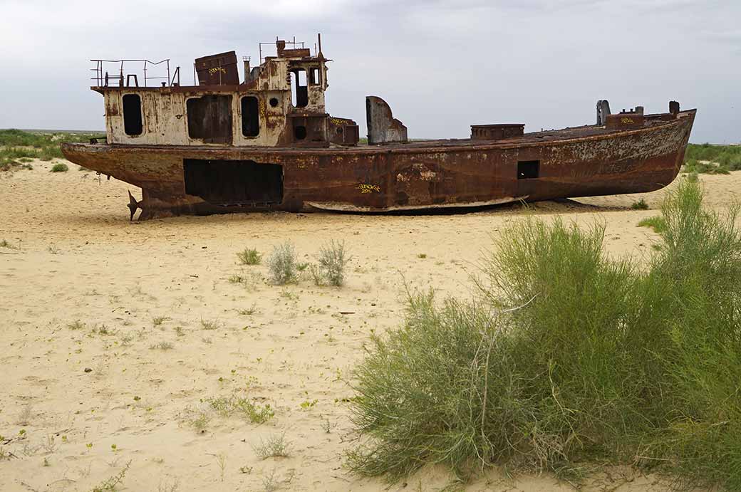Stranded fishing trawler