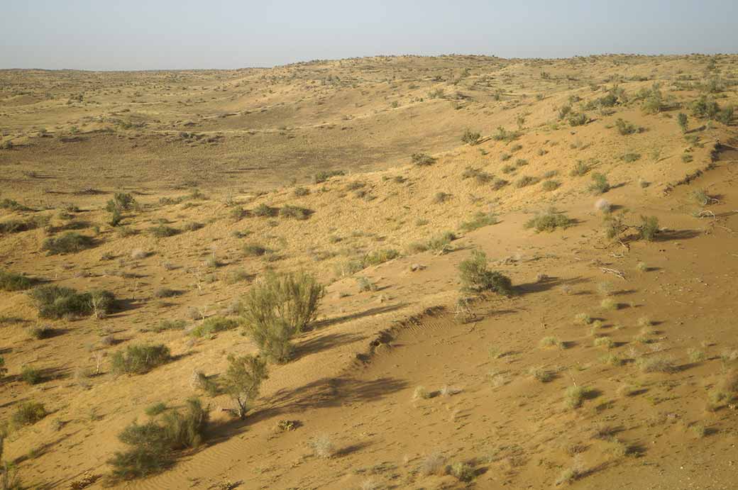 Kyzyl Kum, near Uchquduc